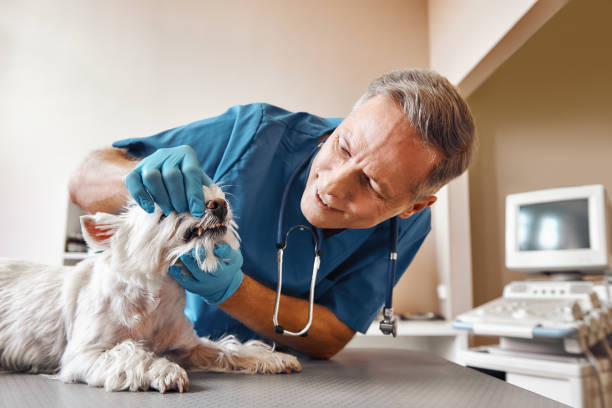 Best Mobile Emergency Dentist in Crescent, OK